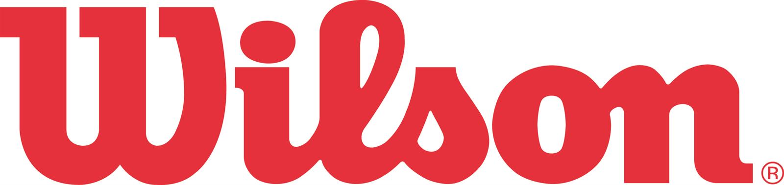Read more about the article Wilson Ladies Indoor Tennis