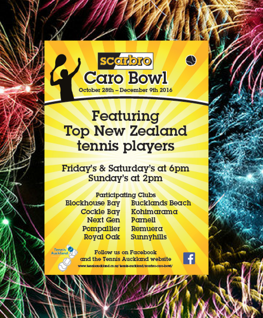 Read more about the article SCABRO Caro Bowl